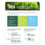 PDI-Healthcare-Sustainability-One-Pager_03248988